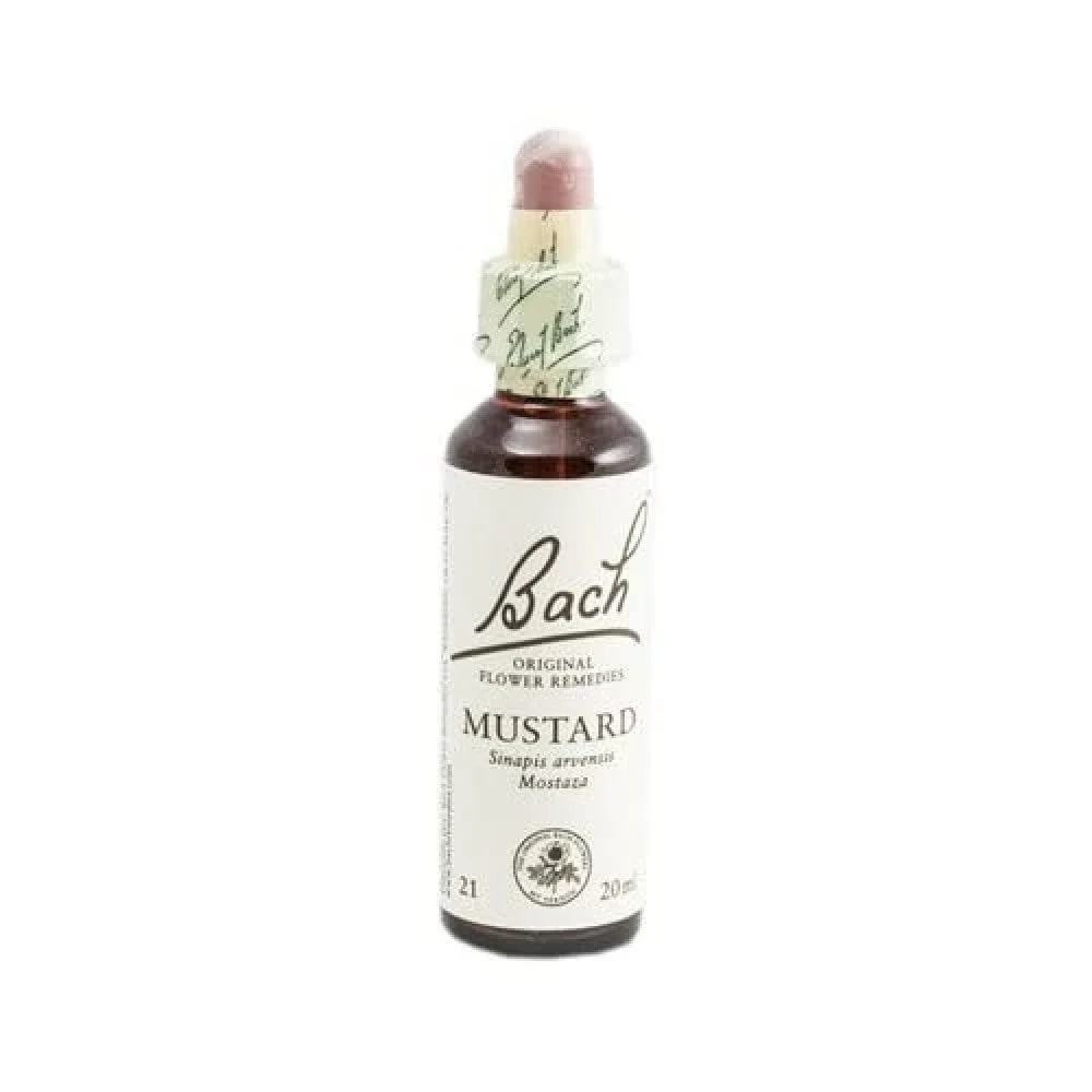 Bach 21 Senf 20 ml