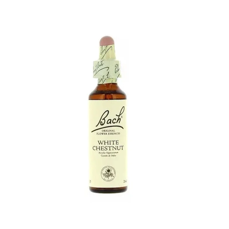 Bach 35 Weiße Kastanie 20 ml