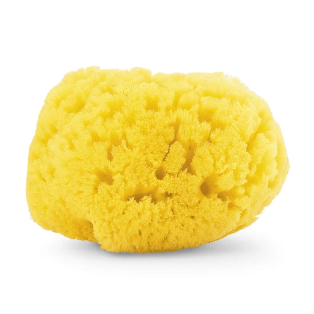 ChiccoBaby Naturschwamm