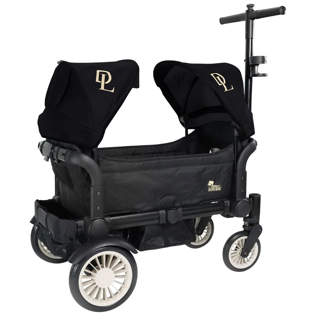 DERYANSandy Bollerwagen black