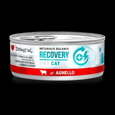Disugual Diet Cat Recovery Cordero Comida Húmeda 85g