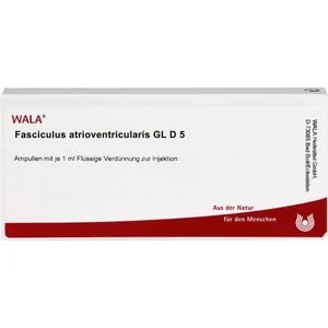 FASCICULUS atrioventricularis GL D 5 Ampullen 10X1 ml