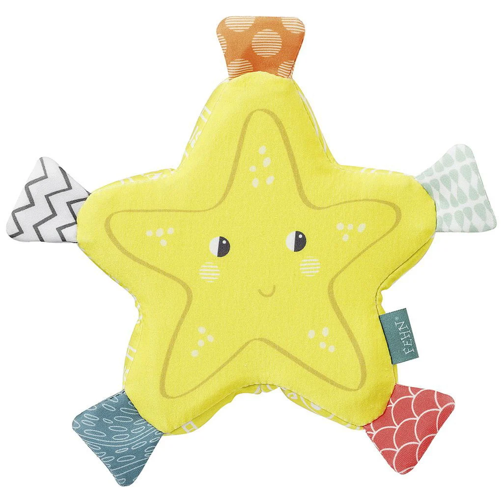 FehnBadeschwamm Seestern