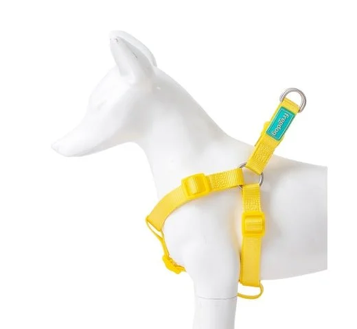 Freedog Arnés Nylon Typ A Gelb 20mm