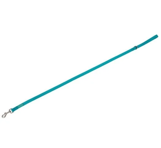Freedog Basic Nylonleine Türkis 120cm