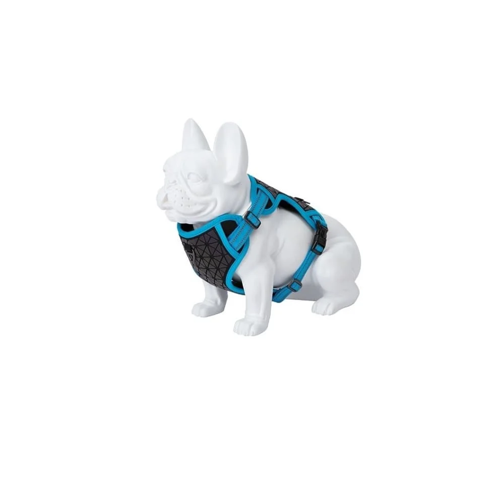 Freedog Boreal Lichtgeschirr Blau 300g