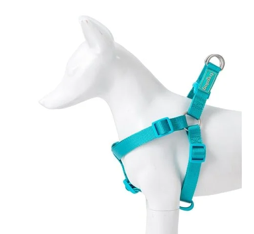 Freedog Nylon Basic Tipo A Hundegeschirr Türkis 70-90cm