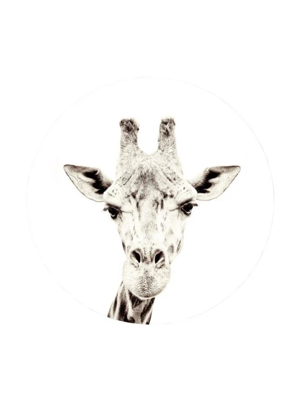 Groovy Magnets Giraffe Magnetaufkleber – Ø60 cm