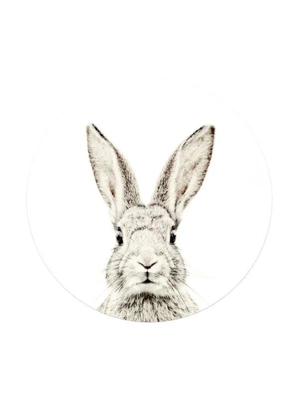 Groovy Magnets Kaninchen Magnetaufkleber – Ø60 cm