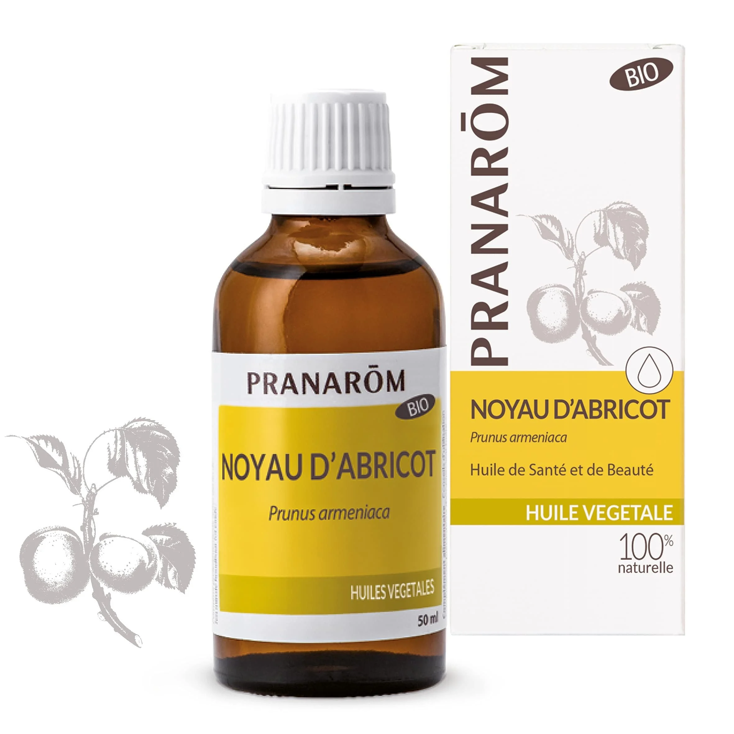 Pranarom Bio Aprikosennuss 50 ml