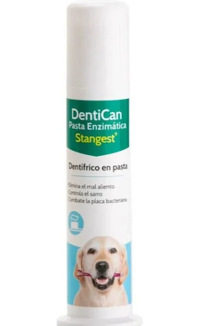 Stangest Dentican Pasta Zahnpasta Enzymatisch Schwarz/Weiß 100ml