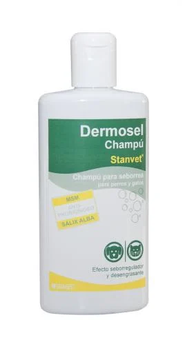 Stangest Dermosel Antiseborreico Shampoo 250ml