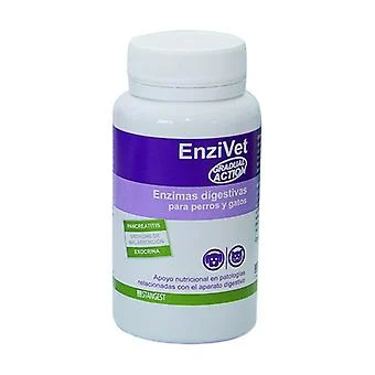 Stangest Enzivet Verdauungs Supplement 60 Kapseln