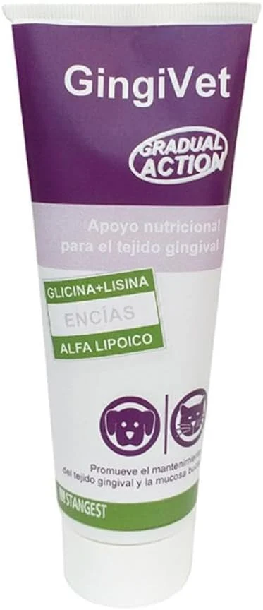 Stangest Gingivet Pasta Salud Dental 100gr