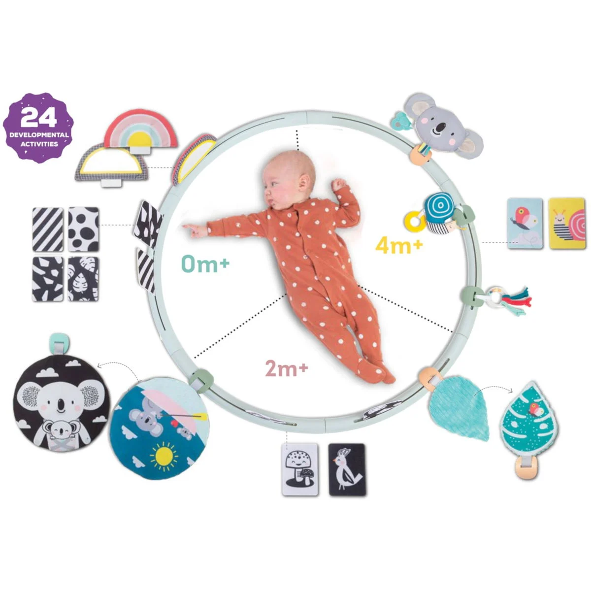 Taf ToysAktivitätsreifen Rund um mich herum