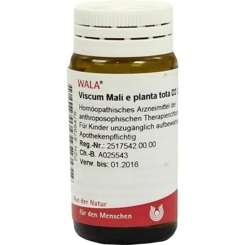 VISCUM MALI e planta tota D 2 Globuli