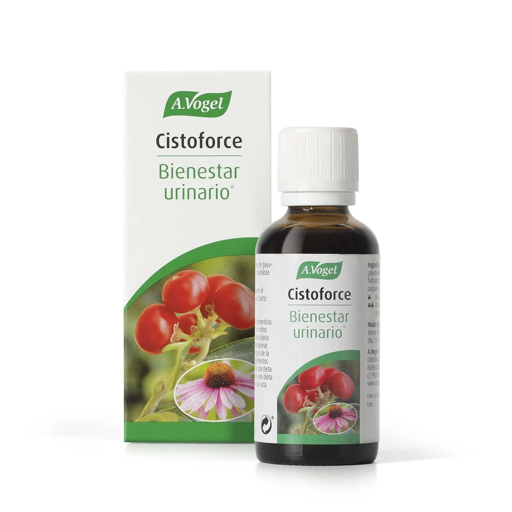 A.Vogel Cistoforce Tropfen 50 ml