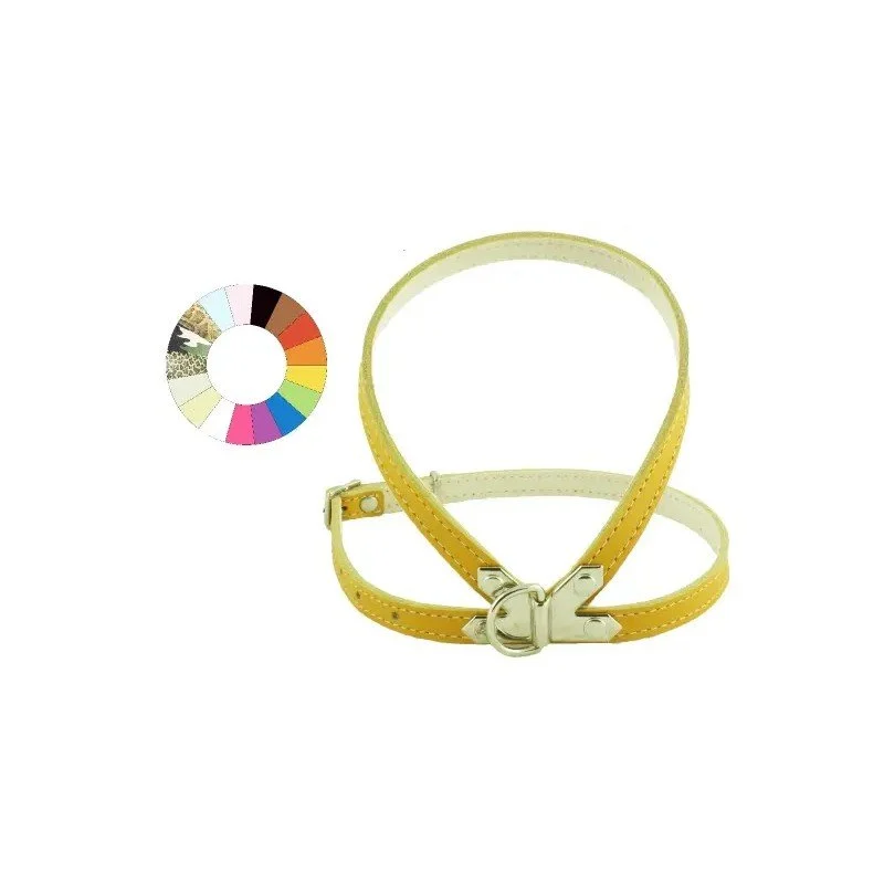 Youpet Petral Fucxia C350 A12 P500 1 Stk